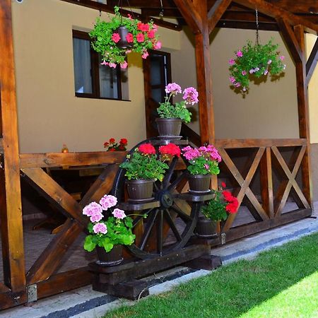 Casa Pricas Villa Moieciu de Jos Dış mekan fotoğraf