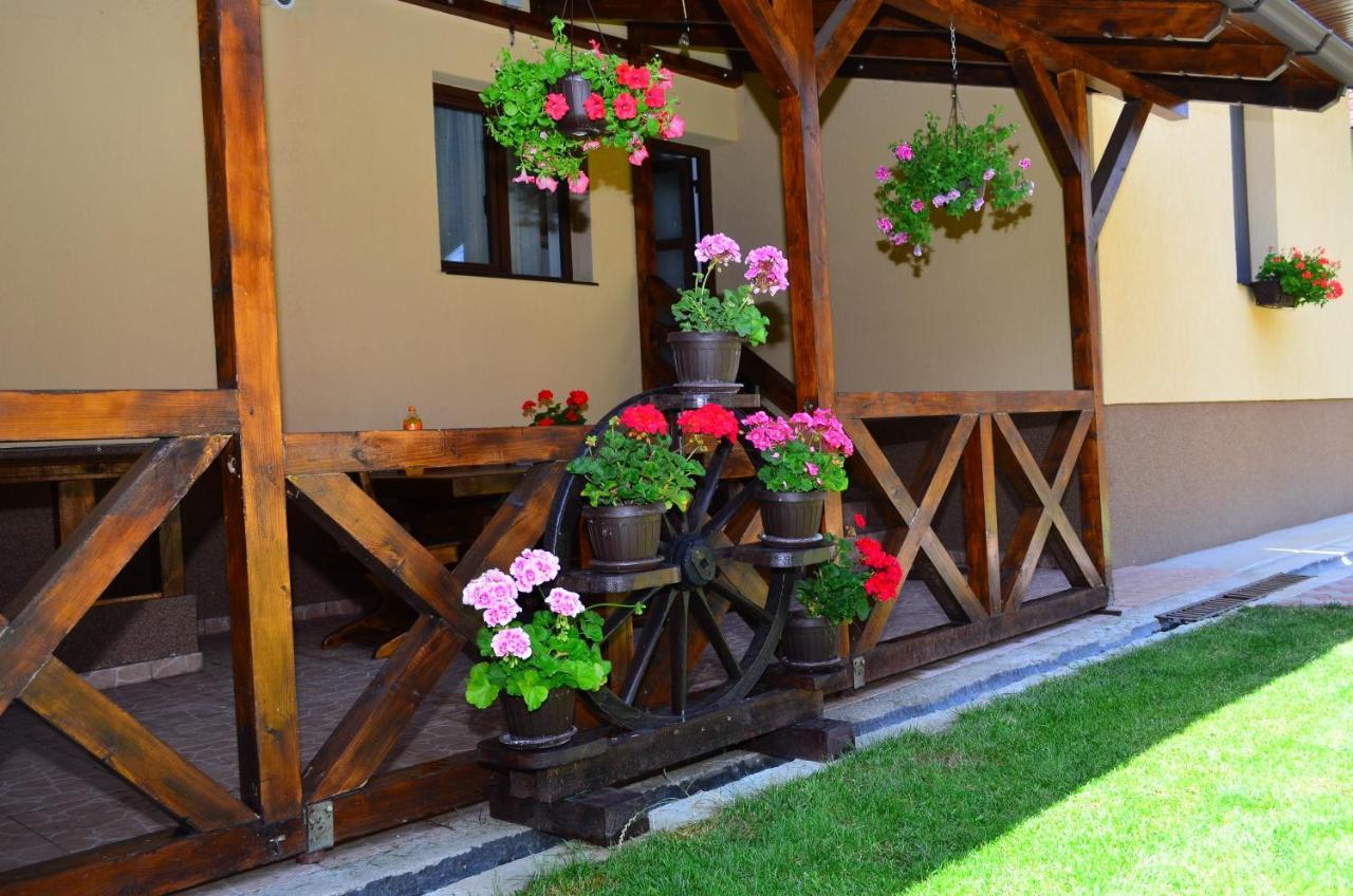 Casa Pricas Villa Moieciu de Jos Dış mekan fotoğraf